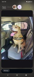 Reunited Female Dog last seen Fort worth, Fort Worth, TX 76102