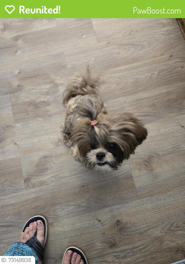 Reunited Female Dog last seen North Olivers Xrd, Maiden, NC 28650
