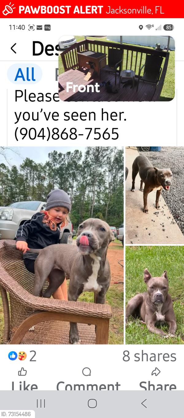 Lost Female Dog last seen Jax fl 32218 Dinsmore Boat Ramp, Jacksonville, FL 32219