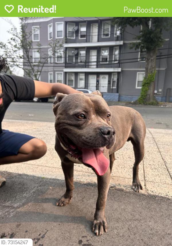 Reunited Male Dog last seen On the trails, New Haven, CT 06511