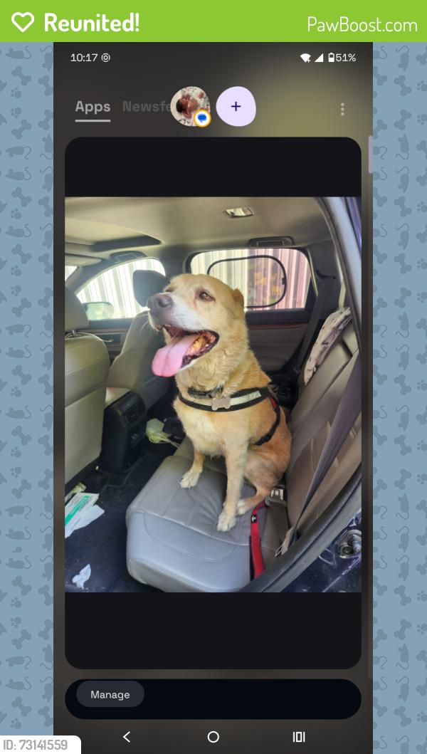 Reunited Female Dog last seen Fort worth, Fort Worth, TX 76102