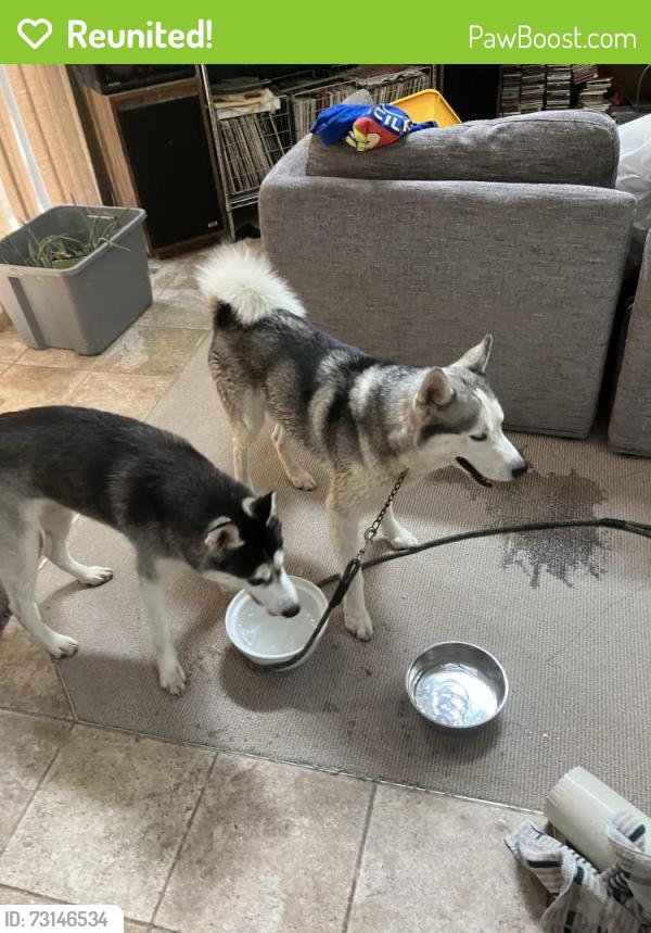 Reunited Male Dog last seen Markey Rd, Dayton, OH 45415