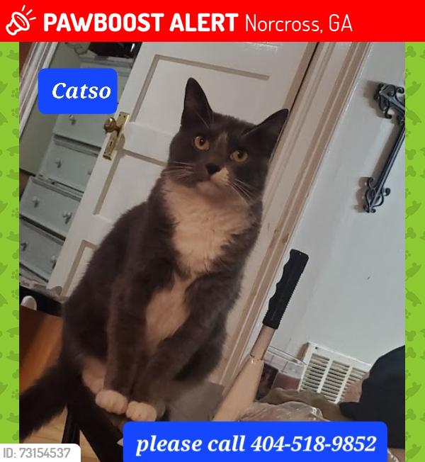 Lost Female Cat last seen Lake Dr and w peachtree st, Norcross, GA 30071