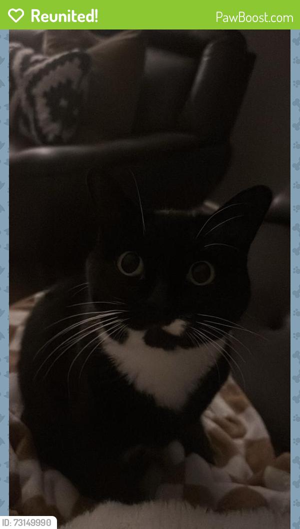 Reunited Female Cat last seen Rothesay, Winnipeg, MB R2G 1A1