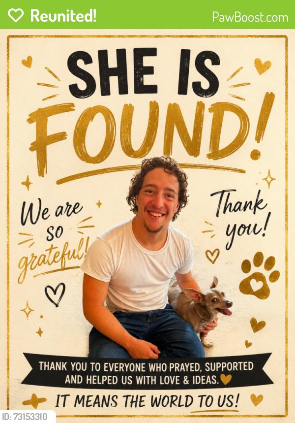 Reunited Female Dog last seen West 105 Street, Lenexa-KS, Lenexa, KS 66215