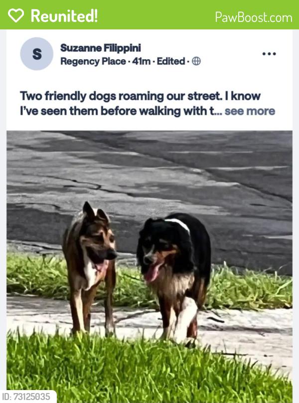 Reunited Unknown Dog last seen Mayfair, Macarthur High school, San Antonio, TX 78217