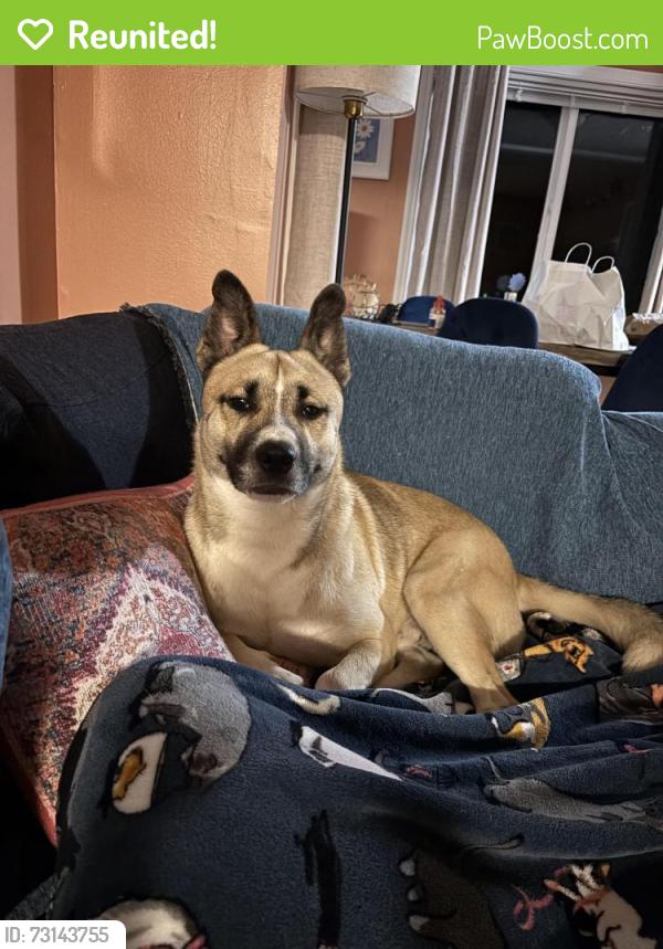 Reunited Male Dog last seen South Ritter Ave and east Minnesota Street, Indianapolis, IN 46203