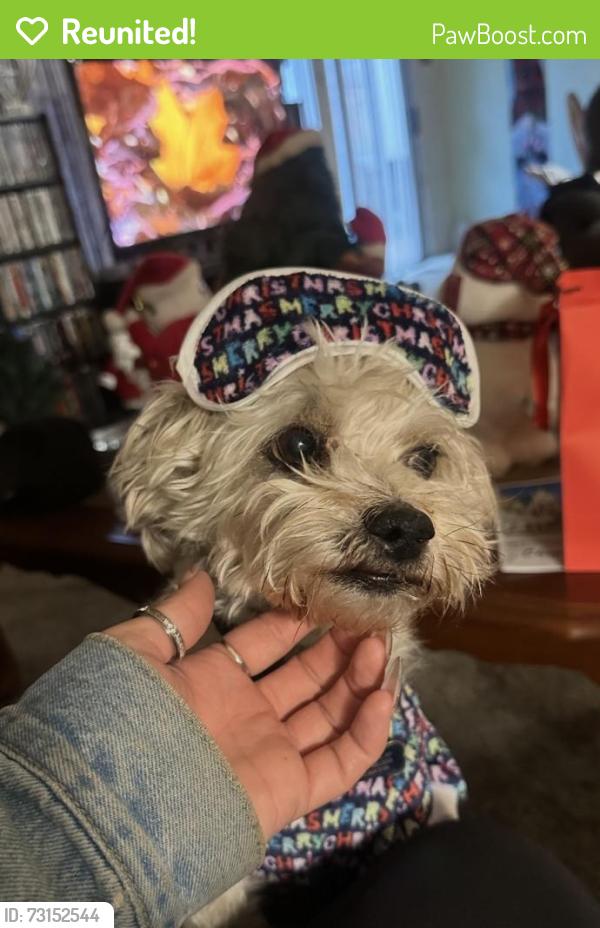 Reunited Male Dog last seen Newport & Calle Tomas, Menifee, CA 92586
