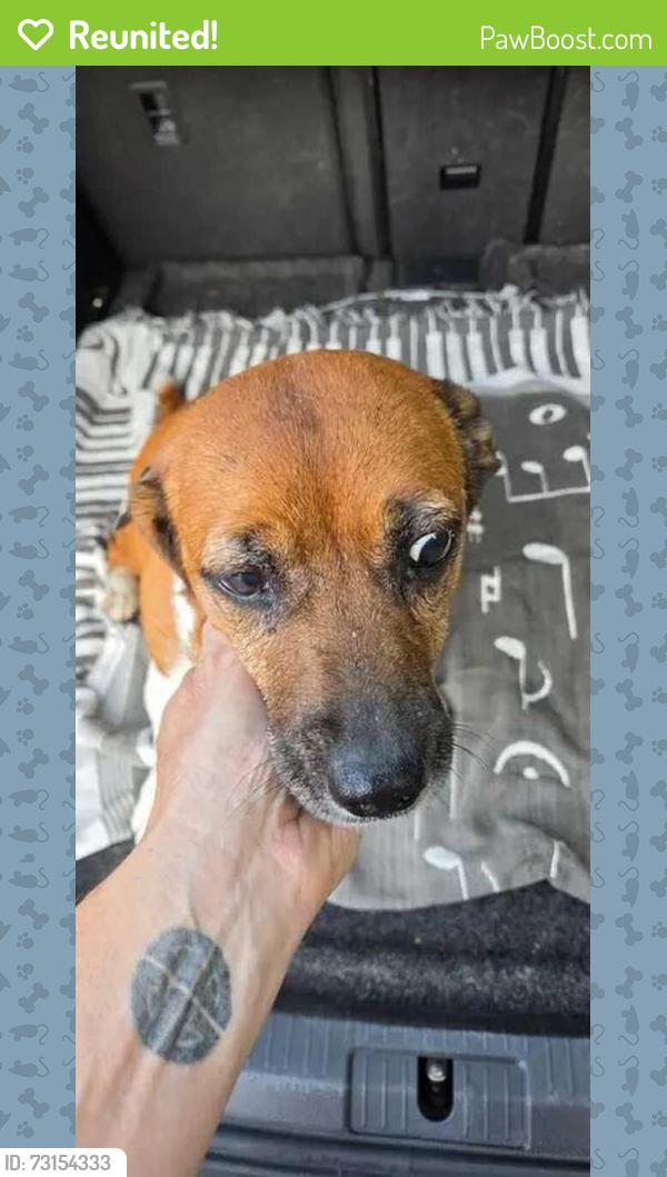 Reunited Female Dog last seen Kids Garden, Haw Creek entrance, Asheville, NC 28805