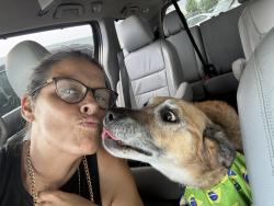 Reunited Female Dog last seen Sunbeam, Beavercreek, OH 45440