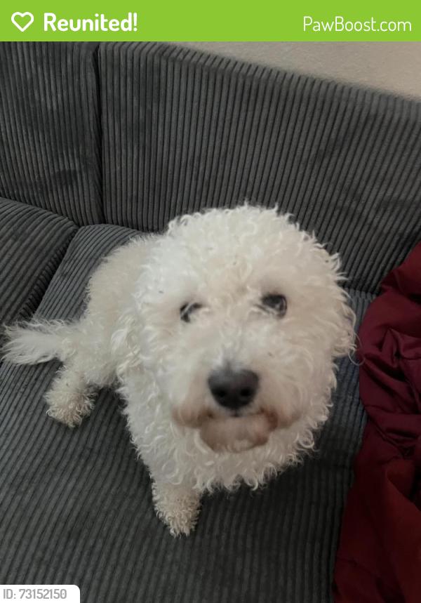 Reunited Male Dog last seen Rock Springs Rd. Quincy Ave., Hesperia, CA 92345