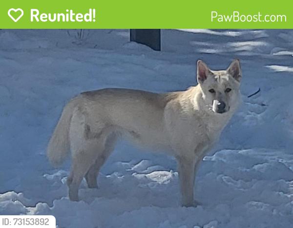 Reunited Female Dog last seen Iliff and Buckley, Aurora, CO 80013