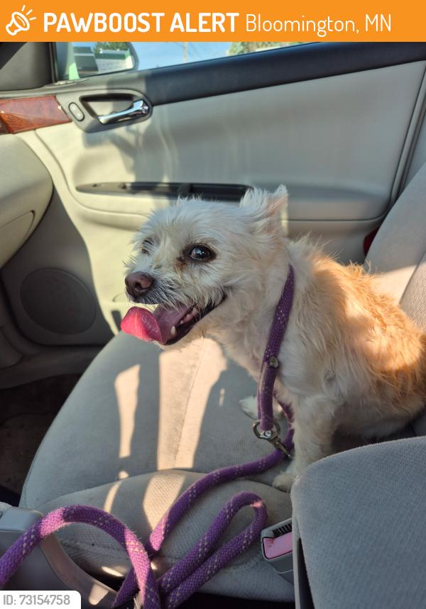 Found/Stray Female Dog last seen Westwood pickleball courts, Bloomington, MN 55431