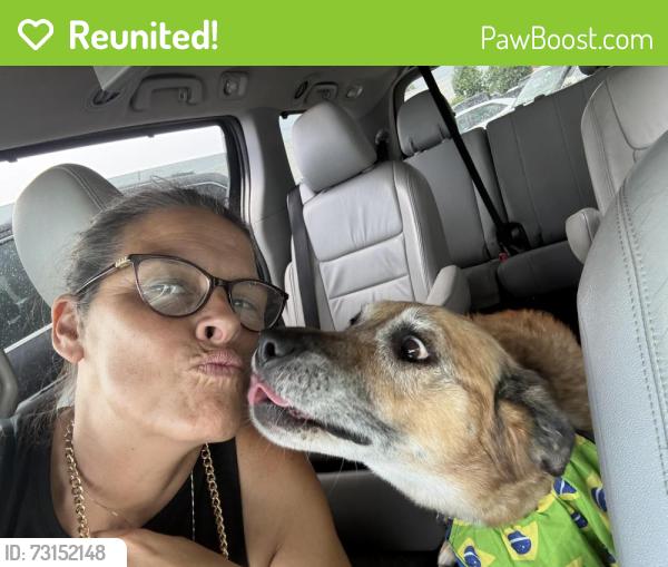 Reunited Female Dog last seen Sunbeam, Beavercreek, OH 45440