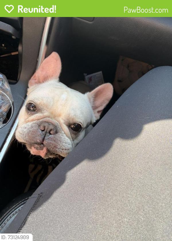 Reunited Female Dog last seen Fred Lee park, Palm Bay, FL 32907