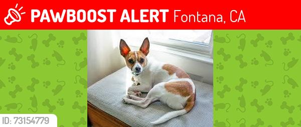 Lost Male Dog last seen Jack Bulik Park Fontana, Fontana, CA 92335