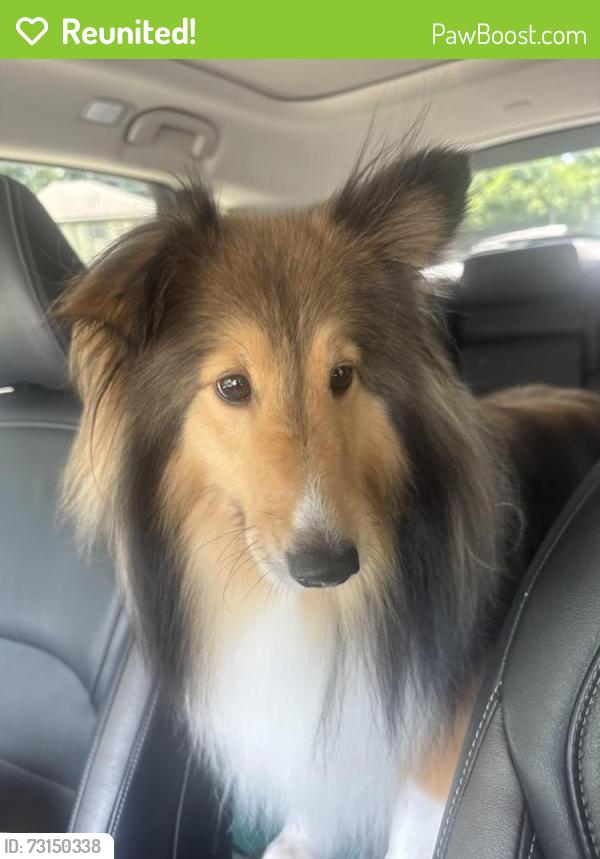 Reunited Male Dog last seen Near mill creek parkway, Kansas City, MO 64111