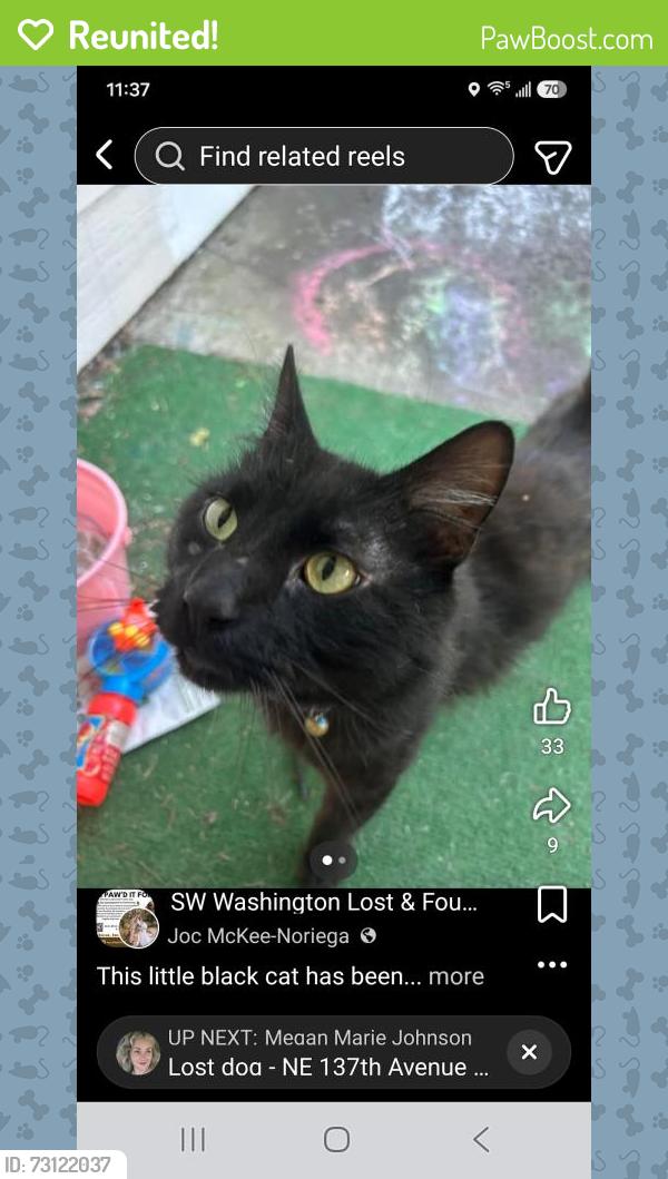Reunited Male Cat last seen Hearthwood elementary, Vancouver, WA 98684