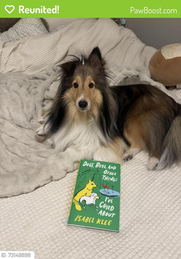 Reunited Male Dog last seen Near Mill Creek Parkway, Kansas City, MO 64111