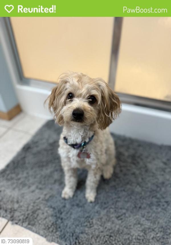 Reunited Female Dog last seen 48th & Woodlawn, Bel Aire, KS 67220