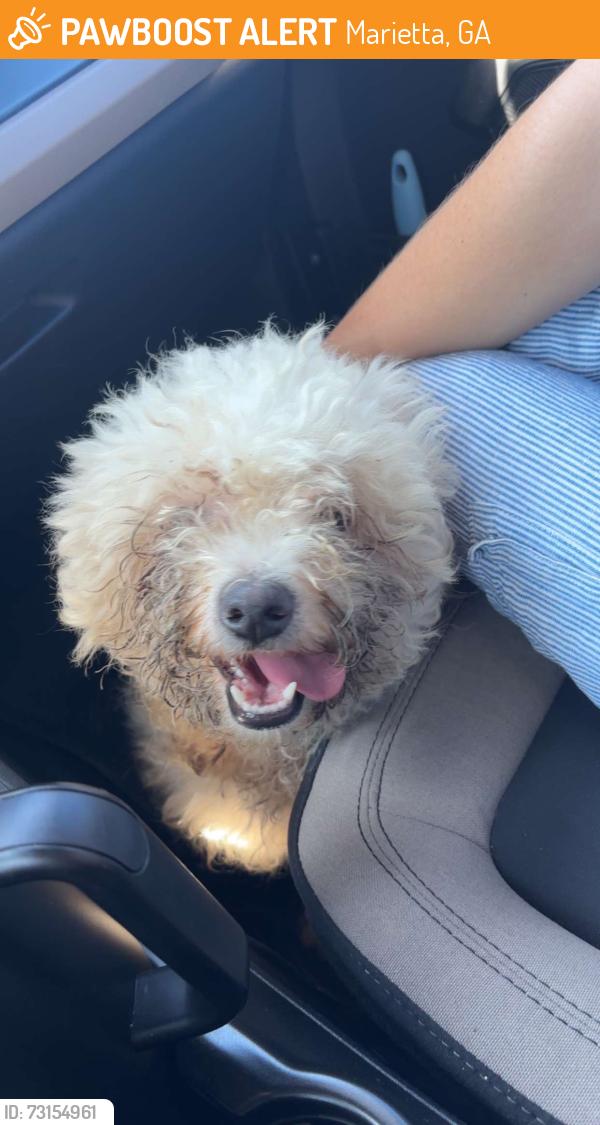 Found/Stray Male Dog last seen Waterman St SE and Atlanta St SE, Marietta, GA 30008
