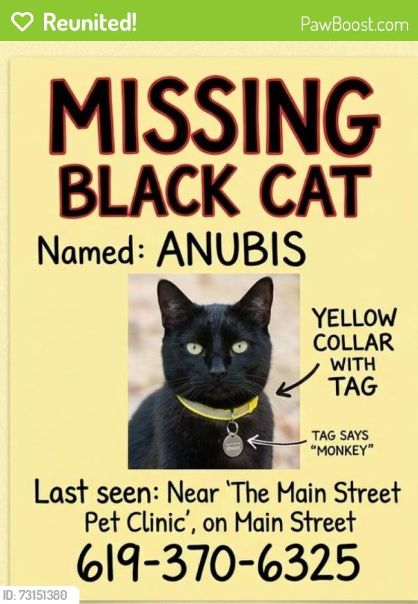 Reunited Male Cat last seen The Pet Clinic on Main Street, Chula Vista, Chula Vista, CA 91911