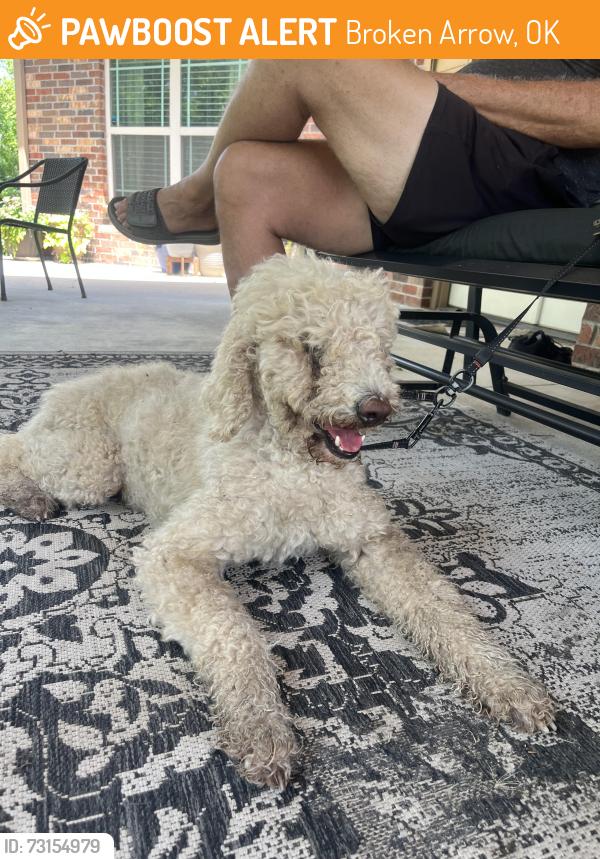 Found/Stray Male Dog last seen 131st and Garnett. Broken arrow., Broken Arrow, OK 74011