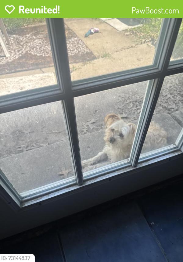 Reunited Male Dog last seen Near S 124th E Ave, Tulsa, OK 74128, USA, Tulsa, OK 74128