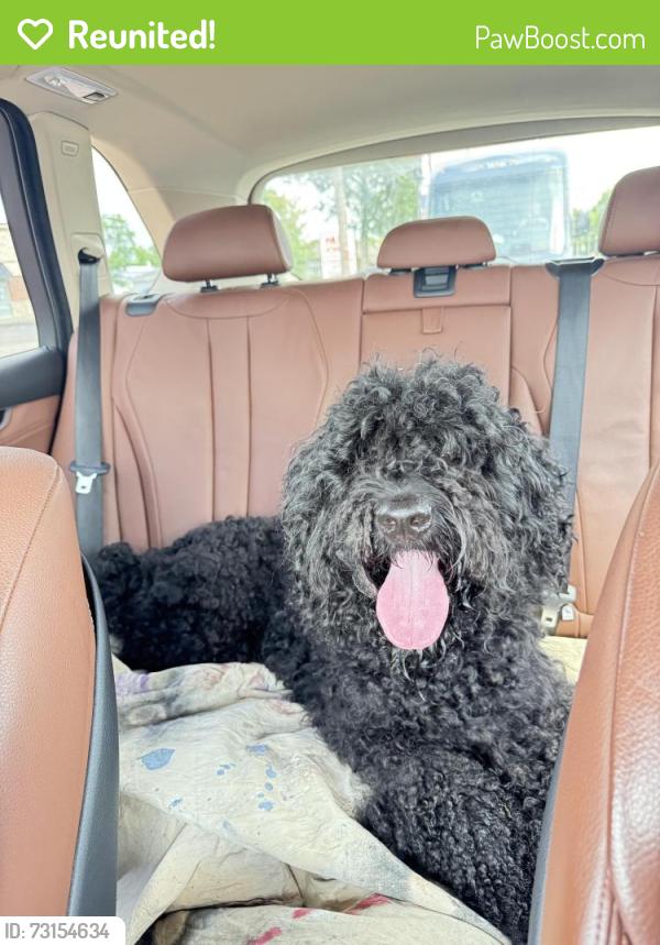 Reunited Female Dog last seen Near arrowhead ct and long ln, Springfield Township, OH 45231