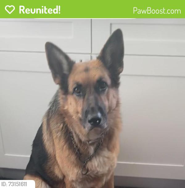 Reunited Male Dog last seen Margarita/Date, Temecula, CA 92591