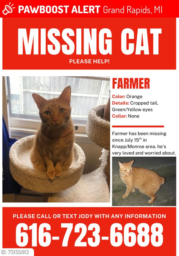 Lost Male Cat last seen Knapp/Monroe/Coit, Grand Rapids, MI 49505
