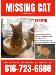 Lost Male Cat last seen Knapp/Monroe/Coit, Grand Rapids, MI 49505
