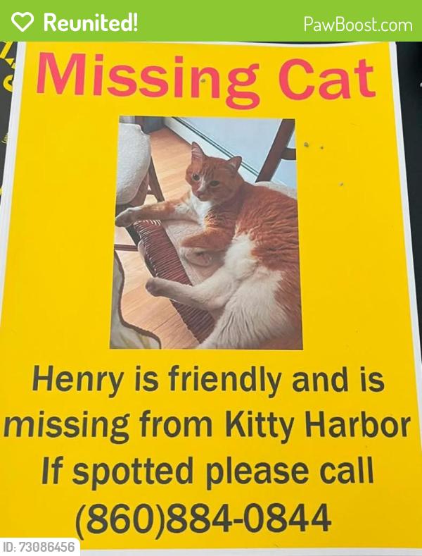 Reunited Male Cat last seen Lost on rt 201 Between rt 165 and rt 2, Griswold, CT 06351