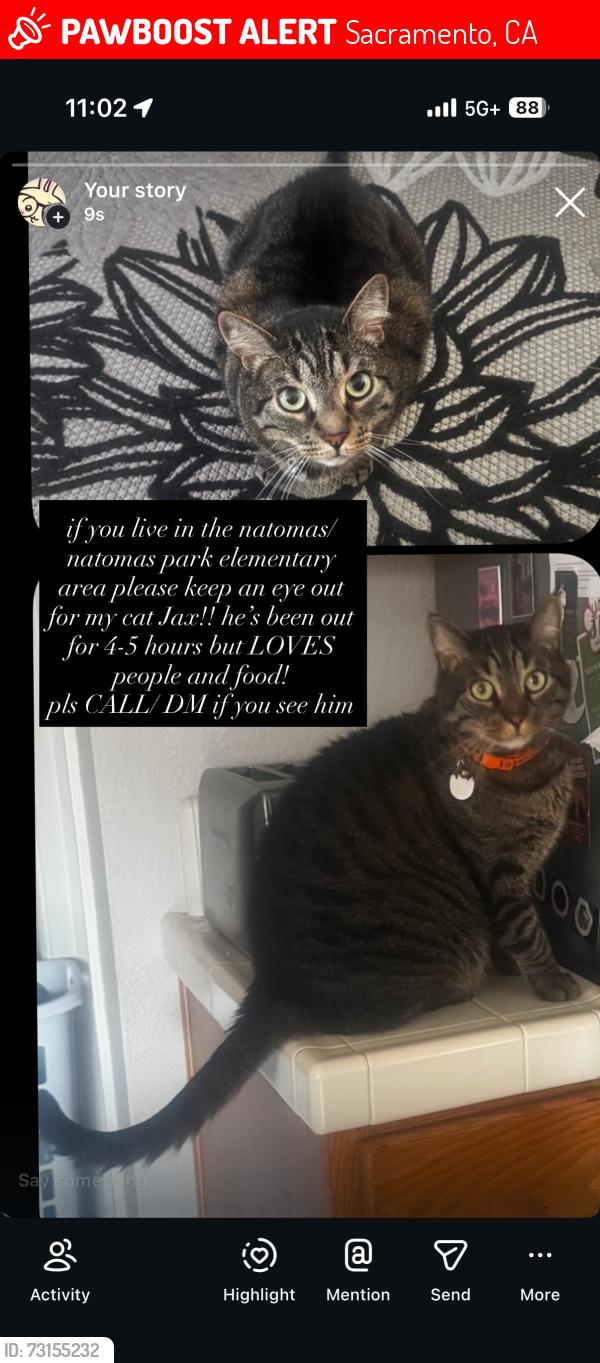 Lost Male Cat last seen Natomas Park Elementary, Sacramento, CA 95835