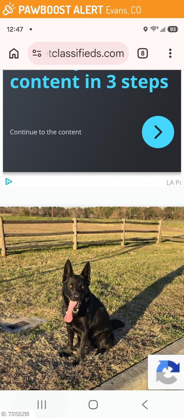 Found/Stray Unknown Dog last seen 11th Ave in Evans co, Evans, CO 80620