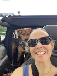 Lost Male Dog last seen Blanding and Collins or US 17 and Collins, Jacksonville, FL 32244
