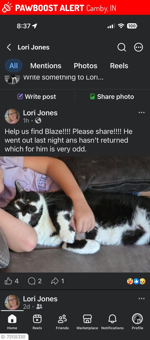 Lost Male Cat last seen Heartland Crossing neighborhod, Camby, IN 46113