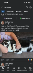 Lost Male Cat last seen Heartland Crossing neighborhod, Camby, IN 46113