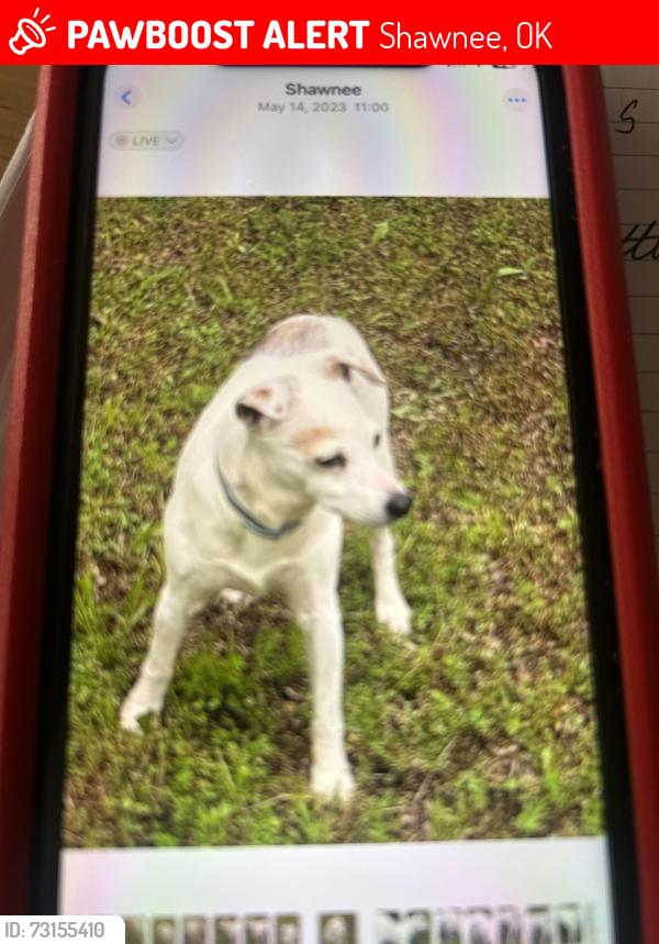 Lost Female Dog last seen Weston rd, Shawnee, OK 74804