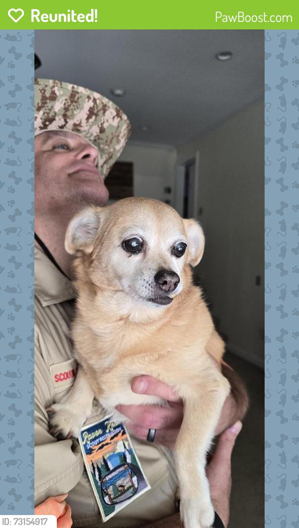 Reunited Female Dog last seen Lewisville Middle School, Lewisville, NC 27023