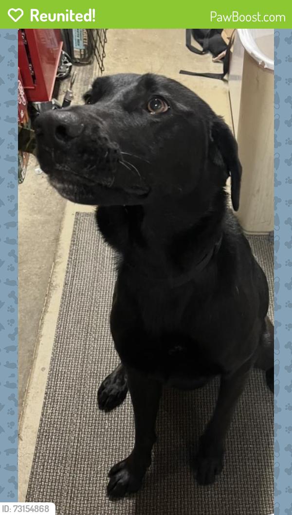 Reunited Male Dog last seen 2nd street/river rd, Norco, CA 92860