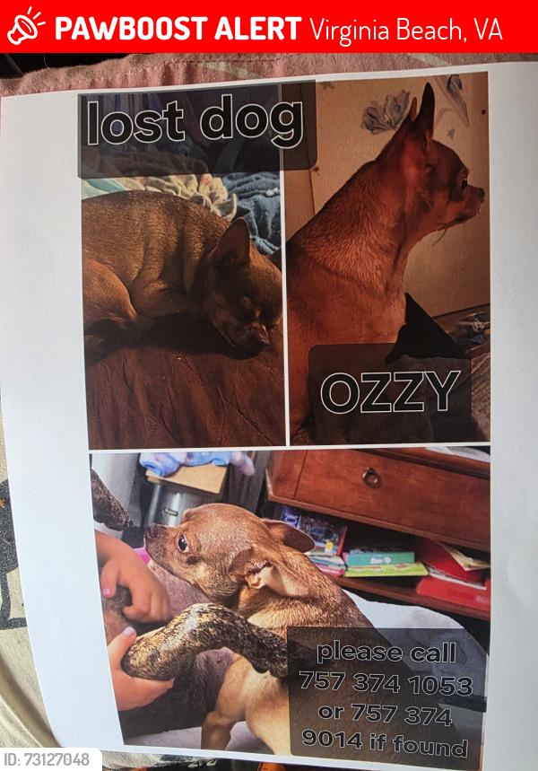 Lost Male Dog last seen Lynnhaven pkwy, Virginia Beach, VA 23453