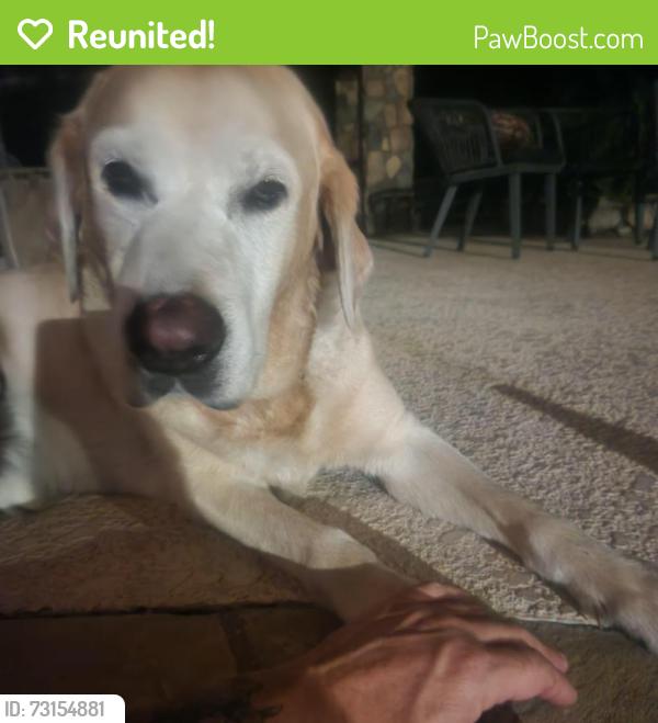 Reunited Male Dog last seen Las fuentes in Magnolia, Magnolia, TX 77354