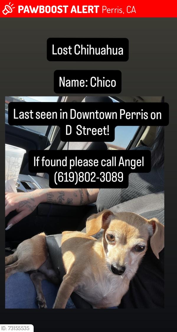 Lost Male Dog last seen Near the metro station, Perris, CA 92570