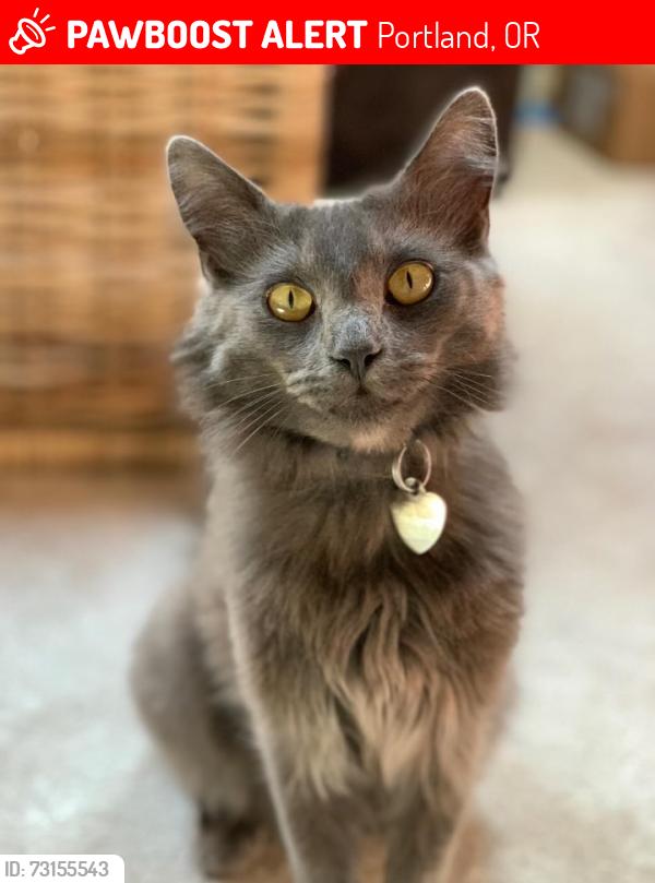 Lost Male Cat last seen Near N Going St, Portland, OR 97218