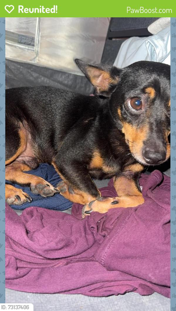 Reunited Male Dog last seen Lyndon B Johnson Elementary, San Antonio, TX 78227