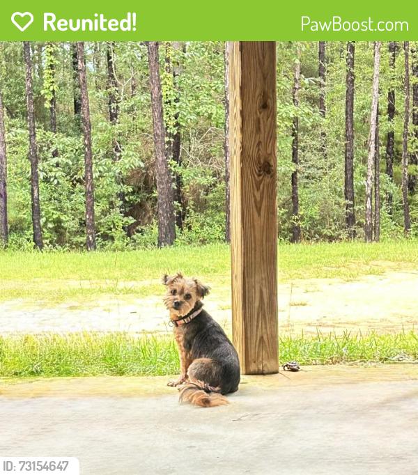 Reunited Female Dog last seen Near Aleia Ln, Crestview, FL 32536, USA, Crestview, FL 32536