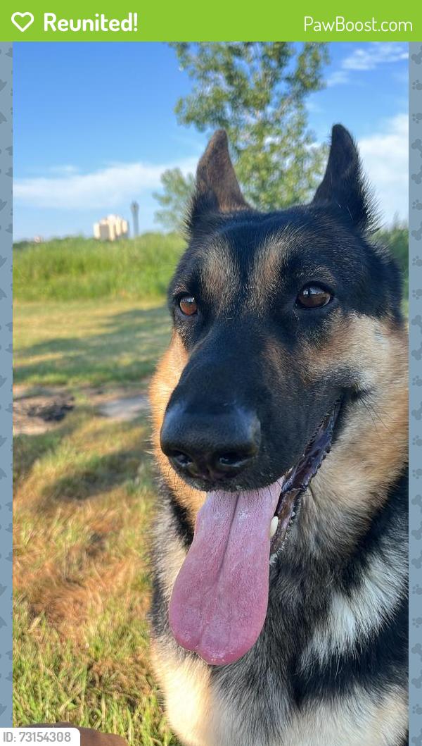 Reunited Female Dog last seen 55th and Rooselvet avenue, Queens, NY 11377