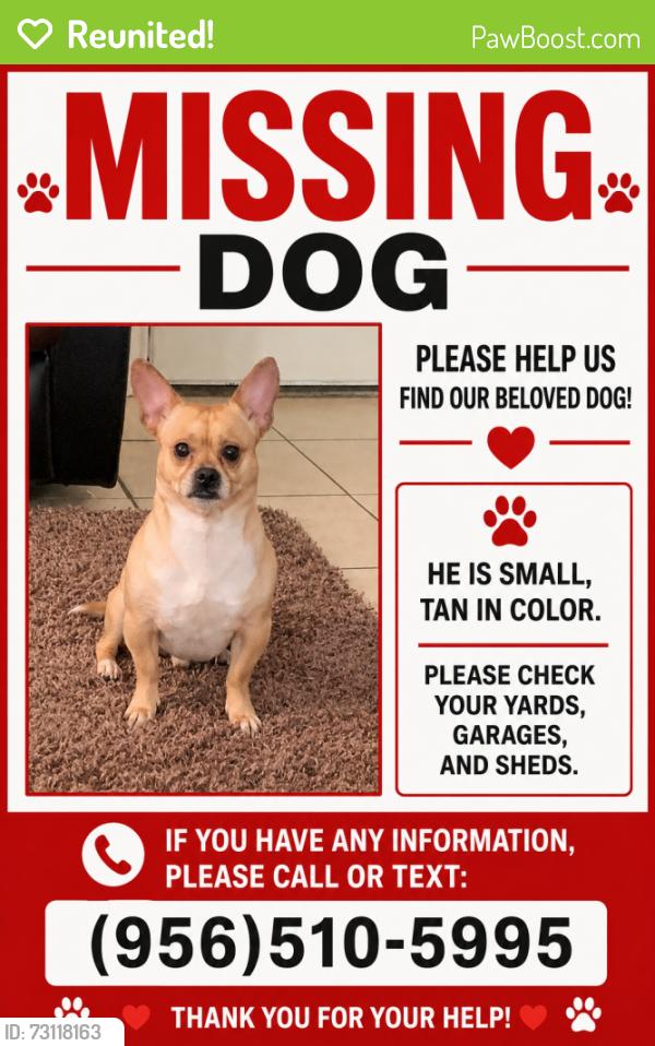 Reunited Male Dog last seen Cypress St, Pharr, TX 78577