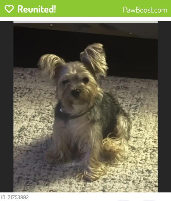 Reunited Male Dog last seen Near S Union St, Richmond, TX 77469, USA, Richmond, TX 77469